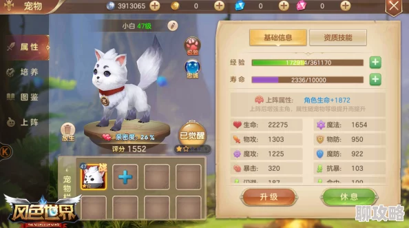 大冒险家手游深度解析：宠物养成系统玩法全攻略及网友热评