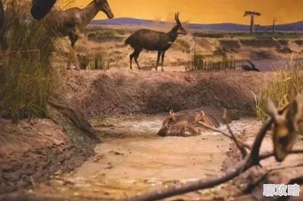 DNF新版暑假任务：刷远古赚钱活动火爆，网友直呼赚翻天！