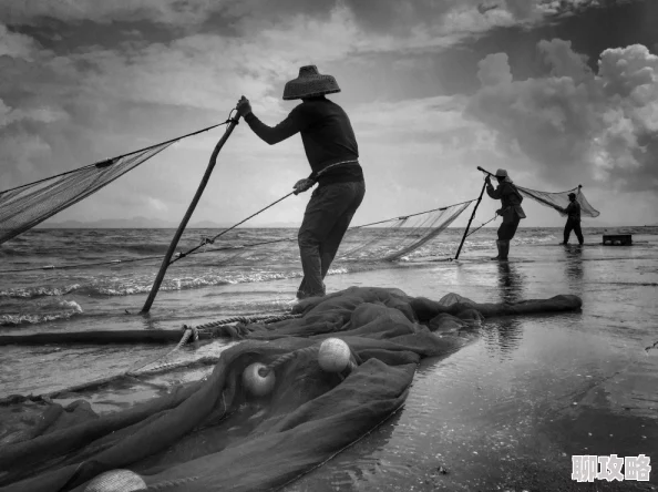 海洋之天下大渔民网友称赞画面精美展现渔民生活百态 海洋之天下大渔民网友称赞画面精美展现渔民生活百态