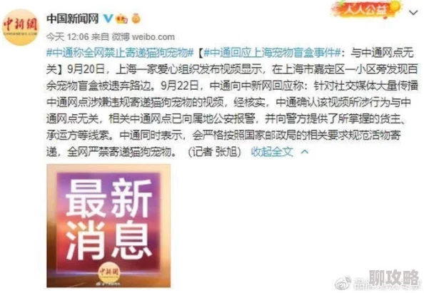 很黄很色很爽的视频已被举报并下架涉嫌传播淫秽信息警方已介入调查