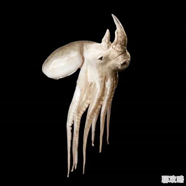 网络流行语ps是什么意思现在也指photoshop软件或图片处理 网络流行语ps是什么意思现在也指photoshop软件或图片处理