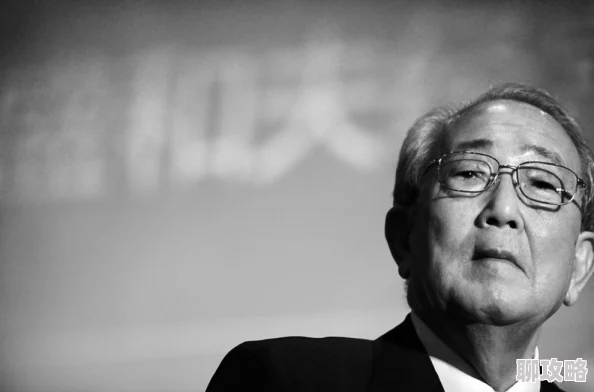 稻盛和夫的活法探寻工作意义与人生价值的经营哲学