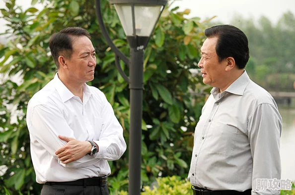 项瑾梁健官场沉浮录新篇章权力更迭风云变幻 项瑾梁健官场沉浮录新篇章权力更迭风云变幻