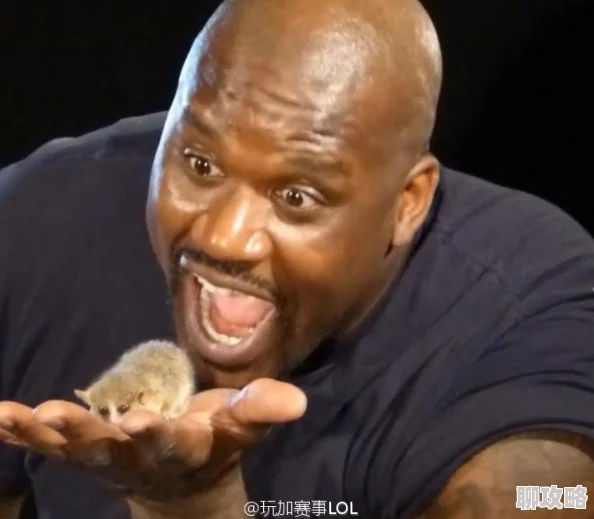 电竞热潮席卷全球,前NBA巨星奥尼尔组队守望先锋引网友热议 电竞热潮席卷全球,前NBA巨星奥尼尔组队守望先锋引网友热议