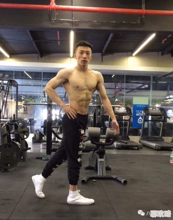 四神集团哪个肉多听说二公子最近迷上了健身说是要练出八块腹肌