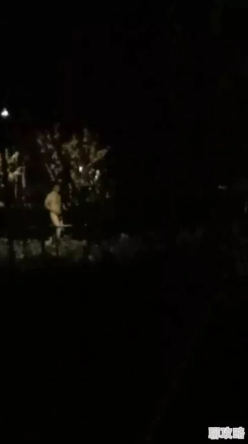 晚上去没人公园裸跑可以吗已被监控拍下并上传网络警方正在调查 晚上去没人公园裸跑可以吗已被监控拍下并上传网络警方正在调查