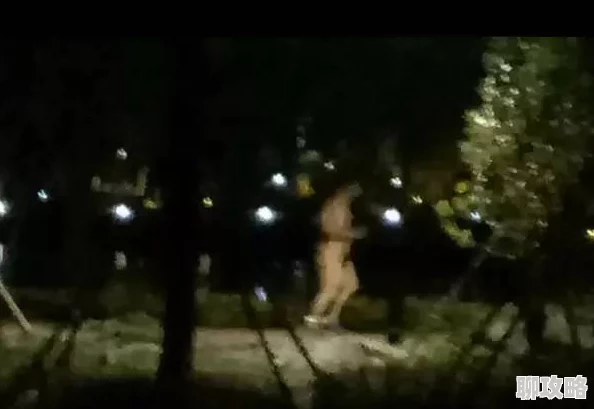 晚上去没人公园裸跑可以吗已被监控拍下并上传网络警方正在调查 晚上去没人公园裸跑可以吗已被监控拍下并上传网络警方正在调查