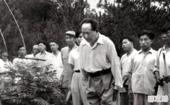 久久久青草青青国产亚洲免观涉嫌传播未经审核的低俗内容已被举报