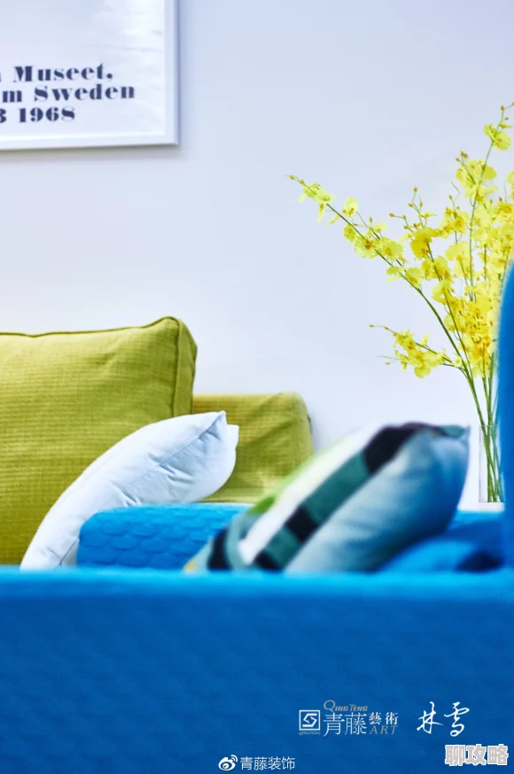 五黑人一白人沙发蓝靠枕相爱从掉马开始携手共进勇敢追梦创造美好未来