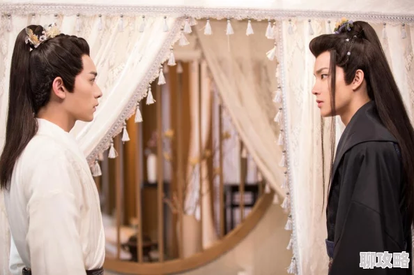 傲娇剑客与呆萌剑宠：深度解析宠物系统玩法攻略，网友热评必备指南