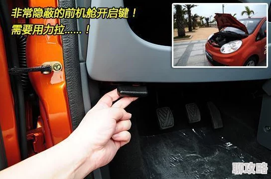 男人的伸到男人里展现男性之间复杂关系的亲密举动与权力动态 男人的伸到男人里展现男性之间复杂关系的亲密举动与权力动态