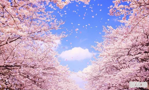 《乳色吐息》又名《粉色吐息》樱花完整版