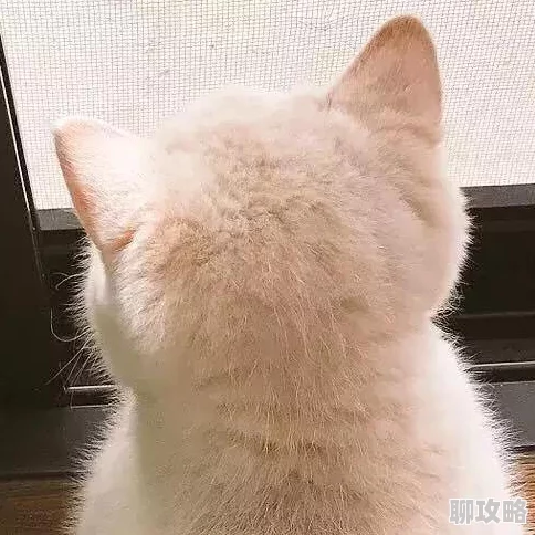 “ass亚洲毛茸茸pics”引发争议网友称尺度过大恐涉嫌违规 “ass亚洲毛茸茸pics”引发争议网友称尺度过大恐涉嫌违规