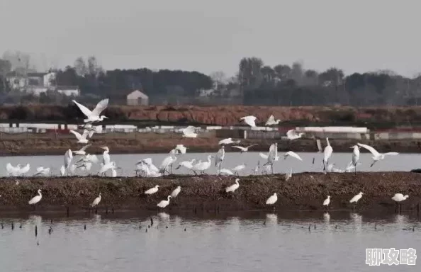 乡村激情深入田野探寻时代变迁下的农耕文化与新农村建设 乡村激情深入田野探寻时代变迁下的农耕文化与新农村建设