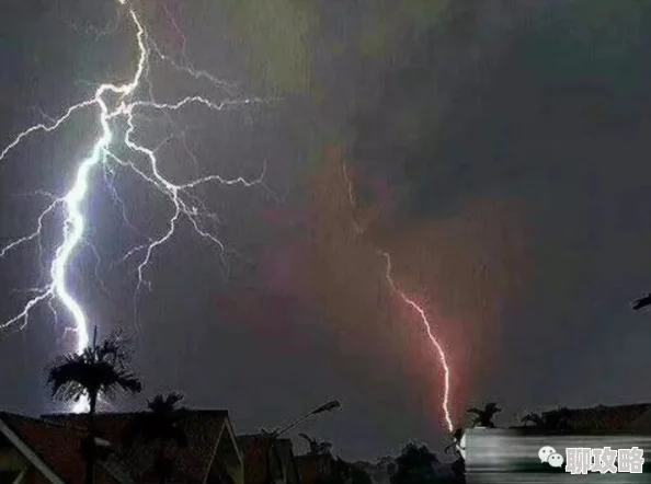 网友热评：东方不败手游以雷霆闪电速度，让敌人措手不及连连惊叹！