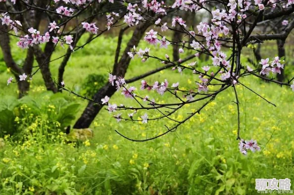又一春万物复苏生机盎然春回大地百花齐放