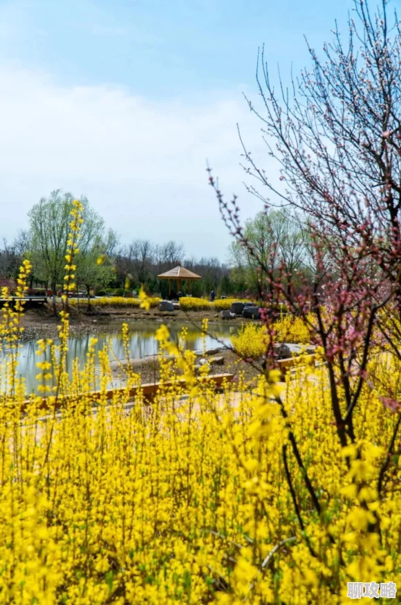 又一春万物复苏生机盎然春回大地百花齐放