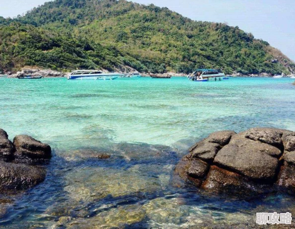 亚洲精品天堂为什么款式多样更新迅速吸引众多消费者 亚洲精品天堂为什么款式多样更新迅速吸引众多消费者