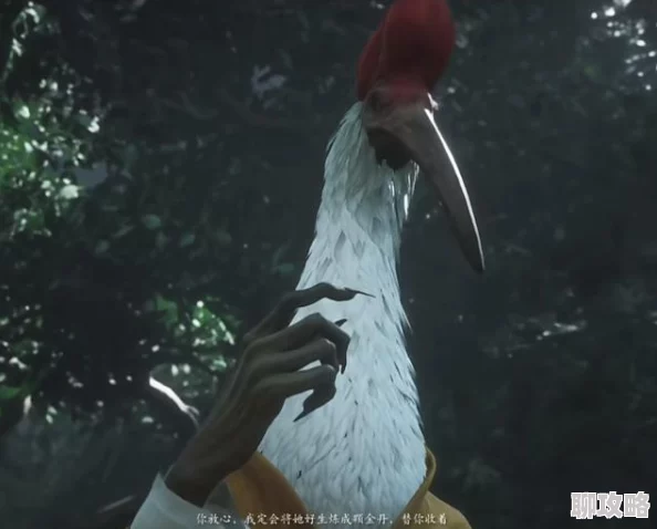 网友热议:天命传说勇者试炼顶级阵容搭配推荐与评价 网友热议:天命传说勇者试炼顶级阵容搭配推荐与评价