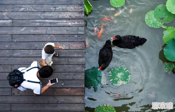 色天堂下因其精湛的制作水准和演员的出色表演而赢得赞誉 色天堂下因其精湛的制作水准和演员的出色表演而赢得赞誉