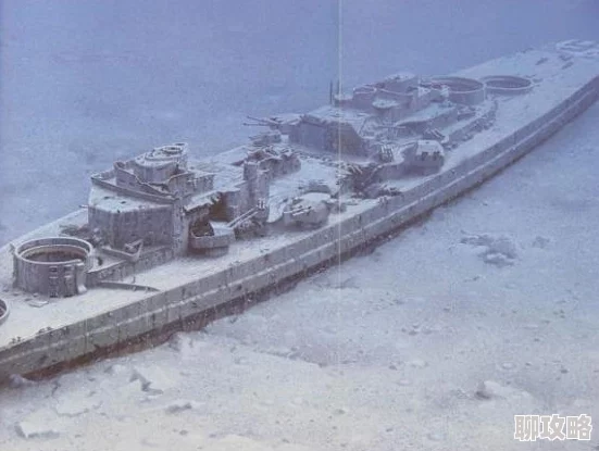 网友热议：无敌战舰俾斯麦号外观属性及入手价值全面分析