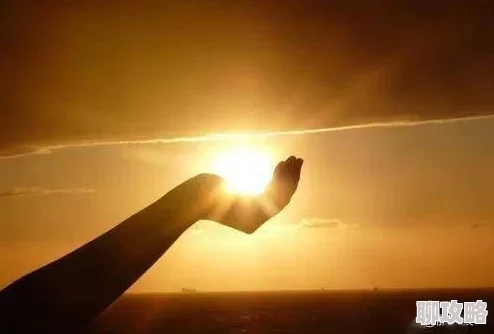 迷失の生命官网下载为什么充满挑战性可玩性极高为何让人欲罢不能