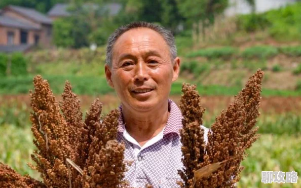 河南老头GAY456HD为什么让人倍感亲切为何展现了中国农村的独特魅力