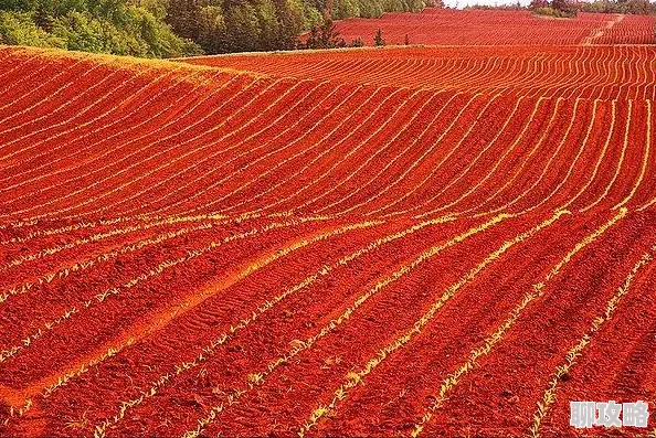 大地资源二5在线观看免费高清为什么是消磨闲暇时光的最佳选择为何带来极致的视听享受 大地资源二5在线观看免费高清为什么是消磨闲暇时光的最佳选择为何带来极致的视听享受