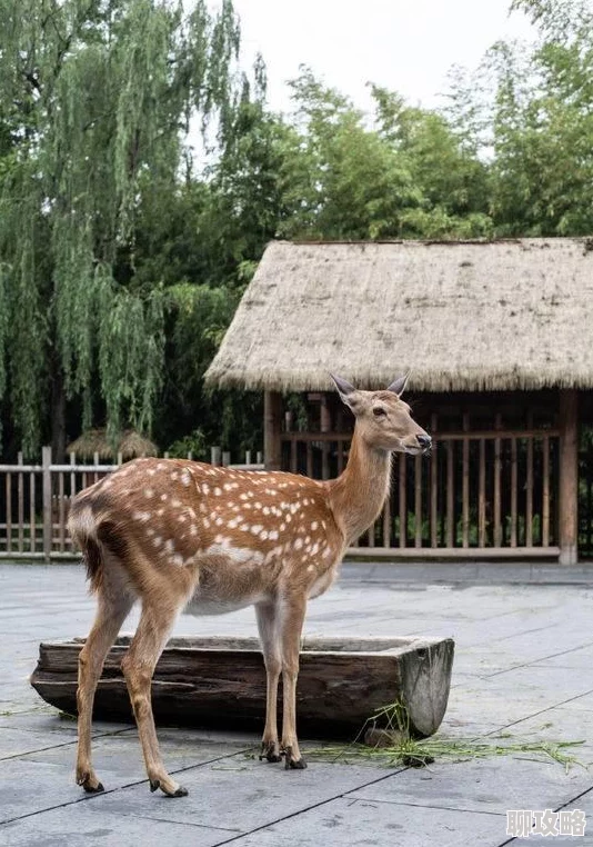 one路yg99路aqqv2路2路7为什么充满活力积极向上为何能带给人们快乐和正能量 one路yg99路aqqv2路2路7为什么充满活力积极向上为何能带给人们快乐和正能量