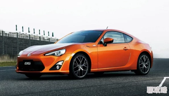 我的世界甘蔗的多样用途:功能作用详解及网友评价精选 我的世界甘蔗的多样用途:功能作用详解及网友评价精选