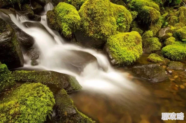 毛片黄色为什么能让人产生幻想和白日梦为何如此吸引人 毛片黄色为什么能让人产生幻想和白日梦为何如此吸引人