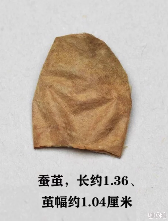 黑暗起源新手必看!深度洗练攻略解析,网友热评助你游戏更上一层楼 黑暗起源新手必看!深度洗练攻略解析,网友热评助你游戏更上一层楼