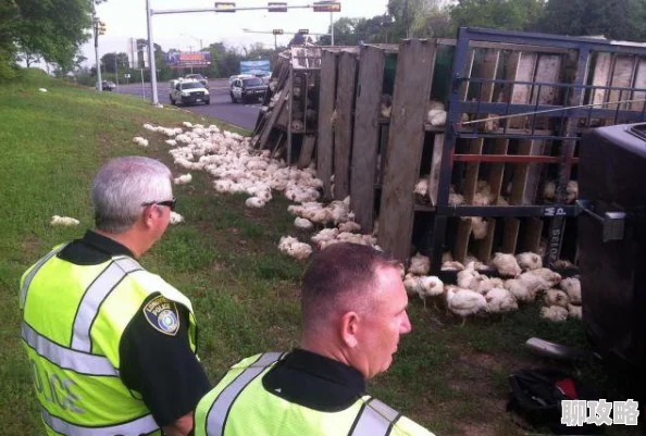 捕鱼来了!新玩法揭秘:导弹鱼出现地点详解,网友热议创新体验 捕鱼来了!新玩法揭秘:导弹鱼出现地点详解,网友热议创新体验