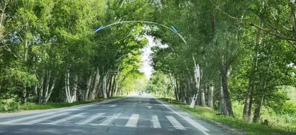 秘游免费网站入口为什么拥有强大的搜索引擎功能为何快速找到心仪资源 秘游免费网站入口为什么拥有强大的搜索引擎功能为何快速找到心仪资源