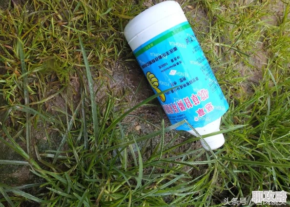 为什么《久草免费在线视频》便捷易访问为何如此受欢迎