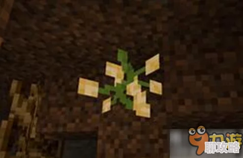 我的世界:火炬浆果的神奇作用与高效获取方法,网友亲测分享! 我的世界:火炬浆果的神奇作用与高效获取方法,网友亲测分享!