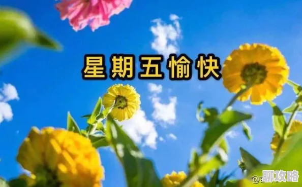 开心播播网为什么轻松搞笑解压治愈为何成为快乐源泉 开心播播网为什么轻松搞笑解压治愈为何成为快乐源泉