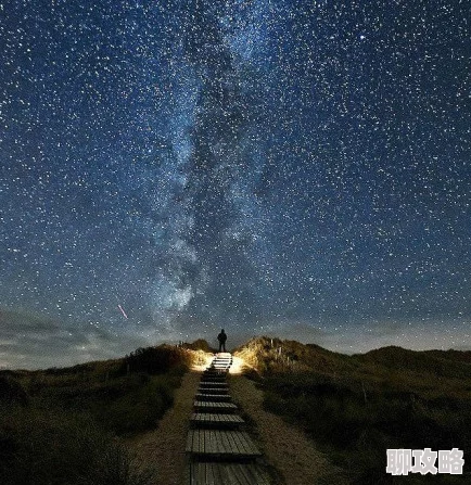 为什么天美麻花星空大象mv视频独特的艺术风格令人耳目一新为何引发关注 为什么天美麻花星空大象mv视频独特的艺术风格令人耳目一新为何引发关注