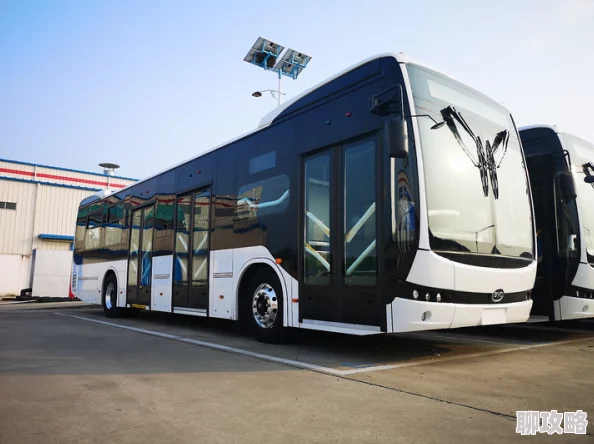 为何风靡一时爽 好紧 别夹大巴h它满足了部分读者对感官刺激的追求 为何风靡一时爽 好紧 别夹大巴h它满足了部分读者对感官刺激的追求