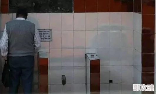 女厕撒尿BBBBB为什么如此火爆因为它大胆挑战传统观念引发强烈争议和好奇