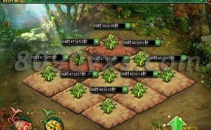 傲剑奇缘手游家园种菜玩法深度心得,网友热评实用技巧分享 傲剑奇缘手游家园种菜玩法深度心得,网友热评实用技巧分享