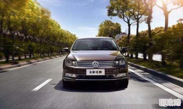 黑料老司机为什么总能满足大众的八卦需求为何如此受喜爱