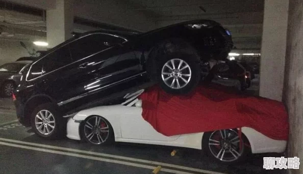 黑料老司机为什么总能满足大众的八卦需求为何如此受喜爱