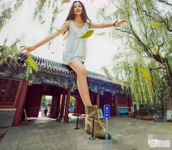 美女被桶为什么让人印象深刻因为其独特的艺术风格和富有创意的表达 美女被桶为什么让人印象深刻因为其独特的艺术风格和富有创意的表达