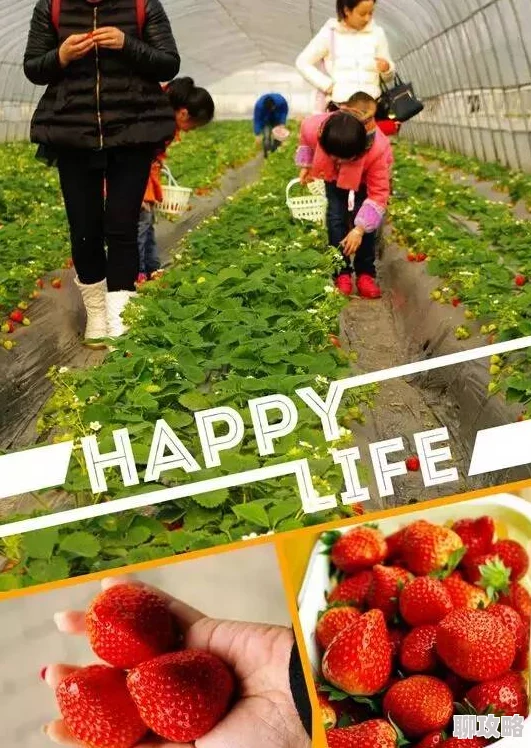 为什么它备受欢迎为何让人流连忘返草莓视频在线观看视频在线观看入口高清画质和丰富资源满足你的所有需求 为什么它备受欢迎为何让人流连忘返草莓视频在线观看视频在线观看入口高清画质和丰富资源满足你的所有需求