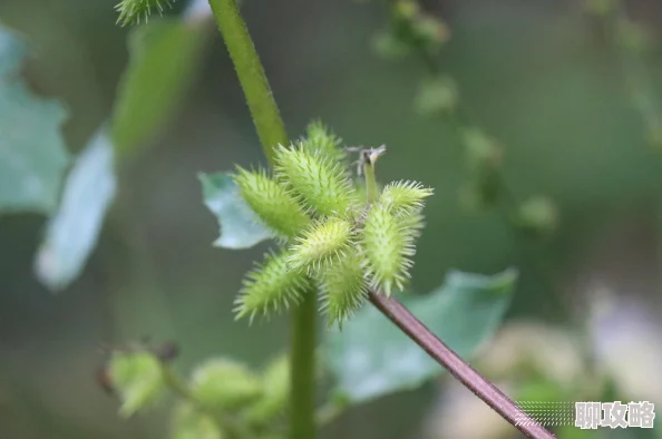 深度解析:球球大作战中扎刺时机的选择策略及网友评价探讨 深度解析:球球大作战中扎刺时机的选择策略及网友评价探讨
