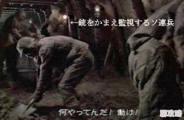 俘虏生活3.0汉化版免费下载为什么它让人欲罢不能汉化且免费的版本更易上手 俘虏生活3.0汉化版免费下载为什么它让人欲罢不能汉化且免费的版本更易上手