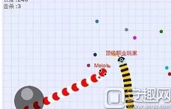 网友热议:贪吃蛇大作战中鲜为人知的十大超有趣冷门知识揭秘 网友热议:贪吃蛇大作战中鲜为人知的十大超有趣冷门知识揭秘