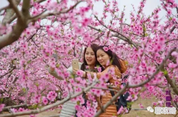 《桃花源记手游》6月23日10时30分新区活动盛大开启,网友热议期待满满 《桃花源记手游》6月23日10时30分新区活动盛大开启,网友热议期待满满