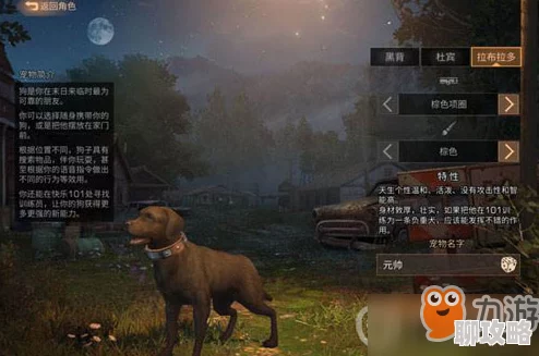 网友热议:明日之后游戏中狗的三大实用功能及作用效果全解析 网友热议:明日之后游戏中狗的三大实用功能及作用效果全解析